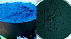 Diferencias entre el oro azul y la espirulina verde: ¿cuál es mejor para el cuerpo?