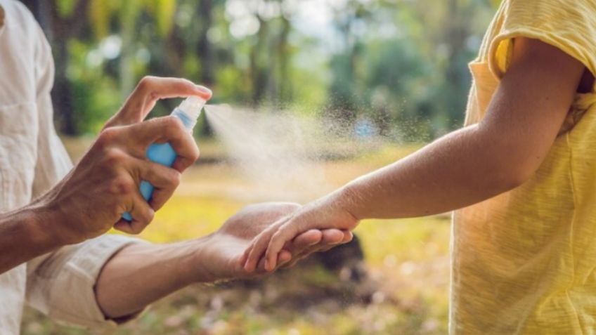 Dile adiós a las noches de calor y mosquitos con esta receta casera, olvida esas laminitas que huelen feo  