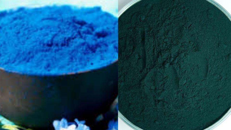 Diferencias entre la espirulina azul y la verde.