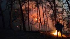 Chiapas será prioridad en todo México en materia de prevención de incendios forestales