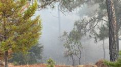 Edomex rebasa incendios forestales y hectáreas afectadas del 2023; prevén aumento en en mayo