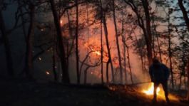 Foto que representa a Chiapas será prioridad en todo México en materia de prevención de incendios forestales