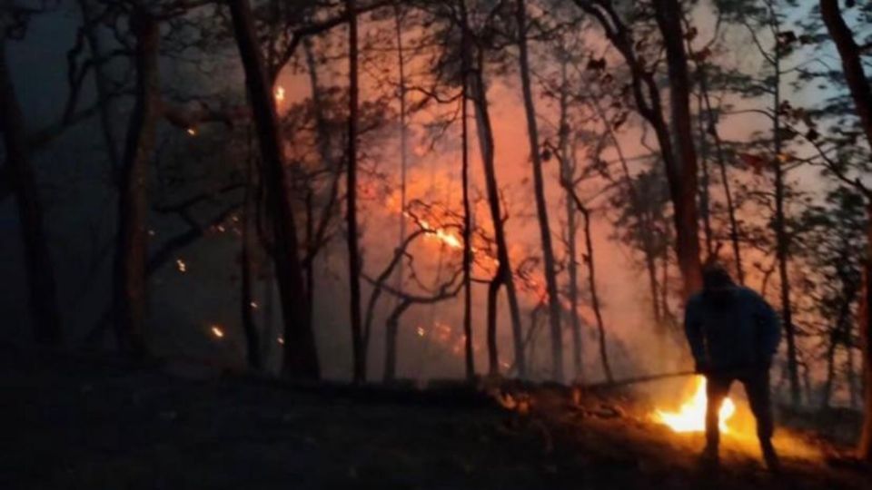 Prevén que la temporada de estiage pueda ocasionar daños a las áreas verdes.