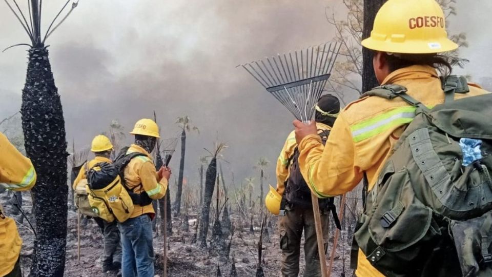 Se conoce de al menos 24 incendios activos en Oaxaca