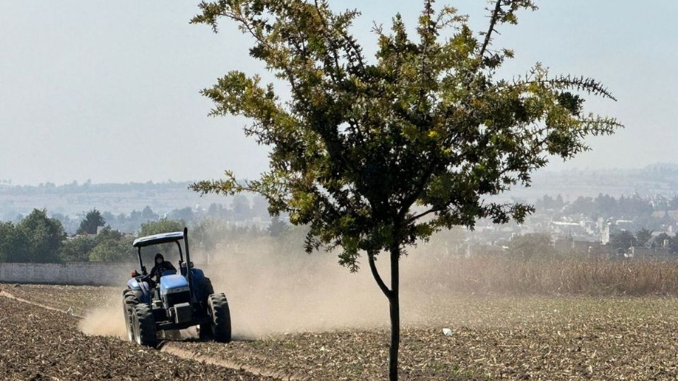 La sequía retraso hasta dos meses el proceso de agricultores