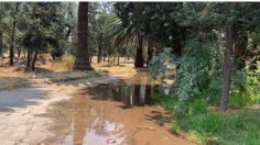 ¿Qué pasó en el Bosque de Aragón hoy, miércoles 15 de mayo?