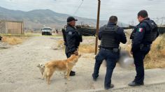 Hallan cuerpo sin vida de Policía Municipal en Tijuana