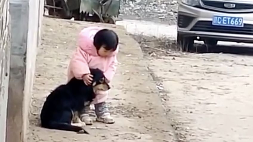 Niña tapa los oídos a su perrito para que no se asuste con fuegos artificiales: VIDEO