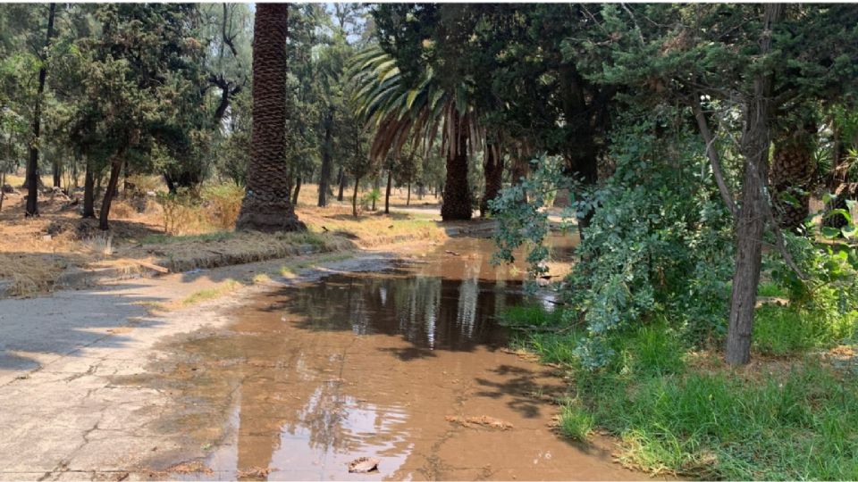 Vecinos denunciaron la fuga desde la mañana de este miércoles