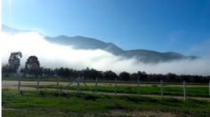 Niebla y viento: así será el clima en Baja California hoy, 16 de mayo