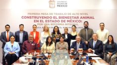 Delfina Gómez prepara una reforma en pro de los animales en Edomex