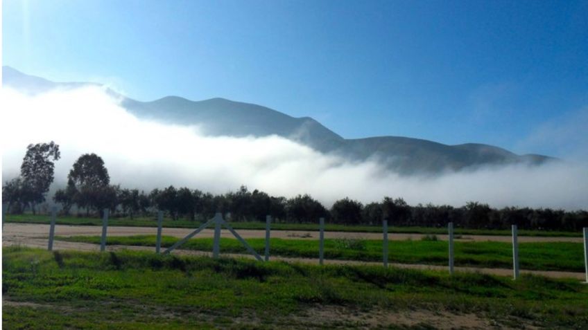 Niebla y viento: así será el clima en Baja California hoy, 16 de mayo