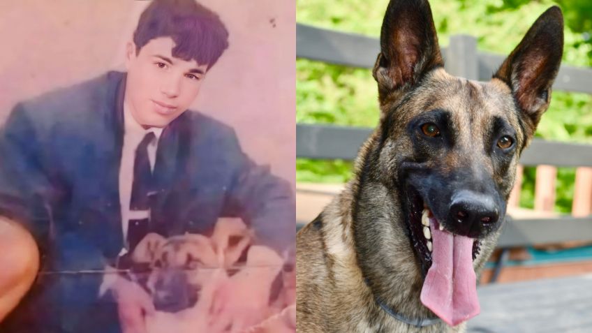 Perrito del joven que fue secuestrado por su vecino a los 17 años lo olfateó, pero lo envenenaron