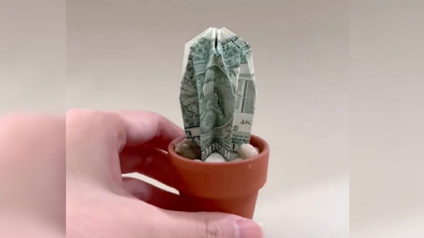 Descubre cómo hacer un cactus de la suerte con ese billete de un dólar que encontraste en la calle | VIDEO