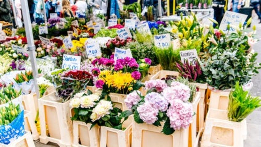 Estos son todos los artistas que estarán en la Feria de las Flores San Ángel 2024