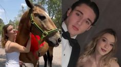 Tarik Othon, novio de Mía Rubín, le regala un caballo a la cantante por su primer aniversario: "viene a alegrar mi vida"