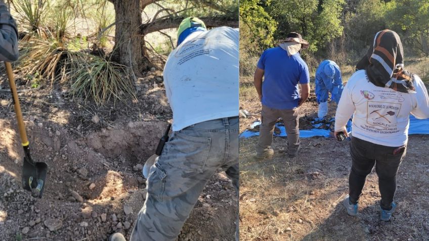 Hallan 10 cuerpos en distintas fosas clandestinas en Nogales