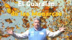 El Guardián de las Monarcas: documental que expone el peligro de ser activista ambiental en México