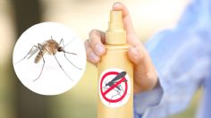 Adiós mosquitos: este es el ingrediente infalible para eliminarlos durante la ola de calor