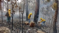 Incendios forestales en Edomex aumentaron 14 por ciento