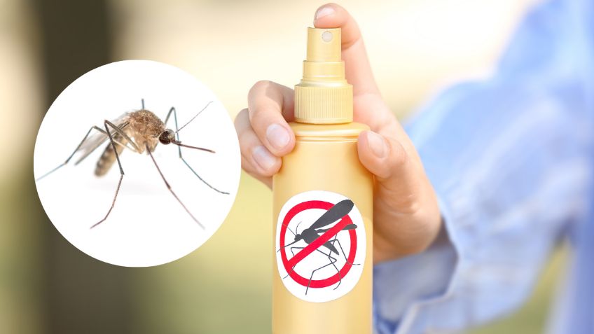 Adiós mosquitos: este es el ingrediente infalible para eliminarlos durante la ola de calor