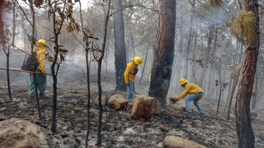 Incendios forestales en Edomex aumentaron 14 por ciento