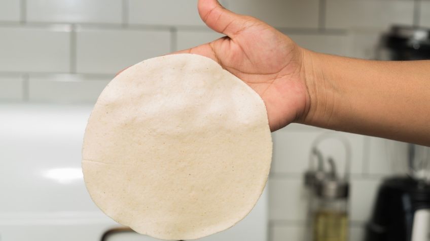 ¿Qué son las tortillas pirata y cuales son los riesgos por consumirlas?: así puedes identificarlas