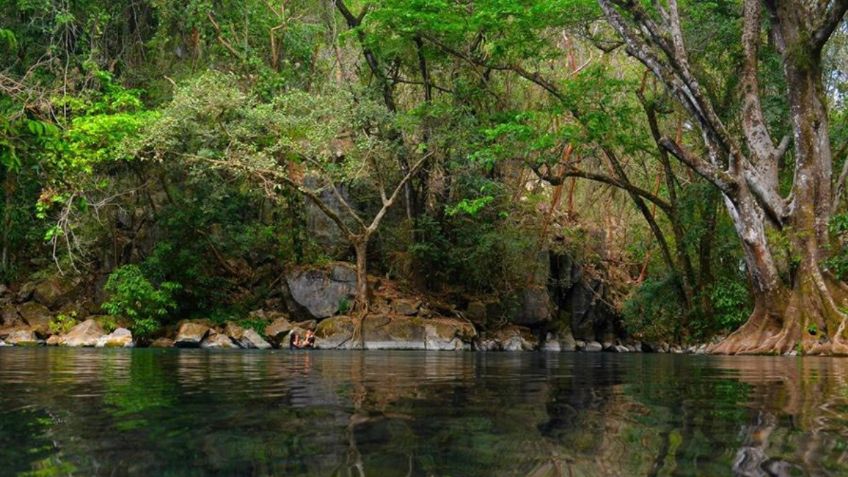 Cierran rutas a la Biósfera "El Cielo" para  proteger el medio ambiente en Tamaulipas