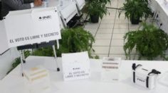 IMPEPAC Resultados 2024: consulta quién ganó las elecciones | PREP Morelos