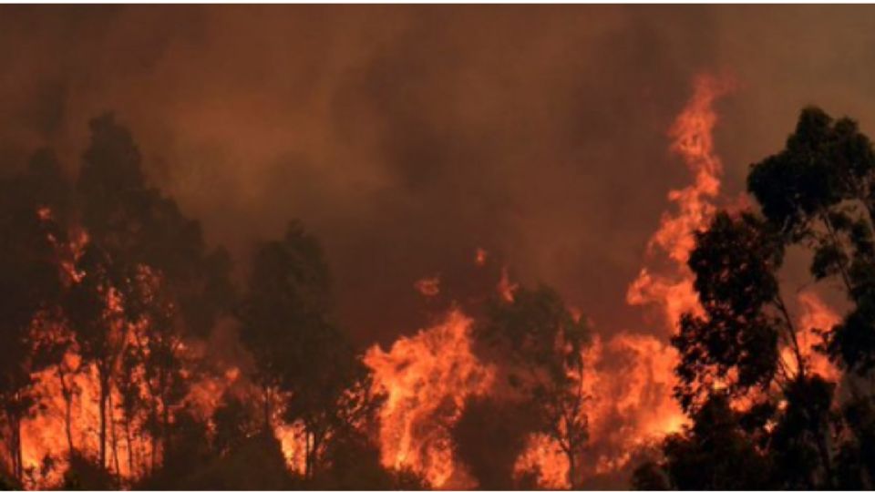 El fuego dejó más de 10 mil damnificados