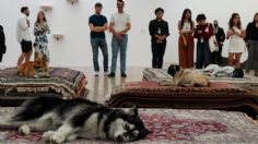 Indagan al Museo Tamayo por performance con perros