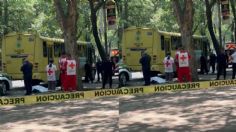 Ciclista muere atropellado en Paseo de la Reforma, viajaba en una Ecobici