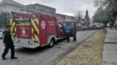 Cuidado con los fuertes vientos: árbol cae encima de auto tripulado por una familia