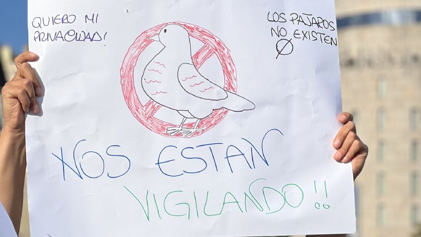 La irreal manifestación contra los pájaros que no existen en España