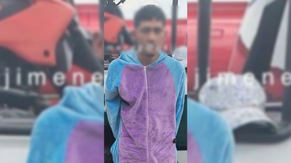 El joven fue aprehendido luego de intentar asaltar a una mujer.