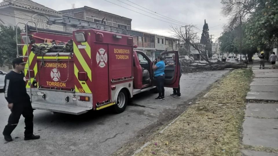 Los hechos generaron crisis nerviosa en la familia.