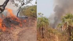 Incendio en costa de Lázaro Cárdenas devora 50 hectáreas de selva