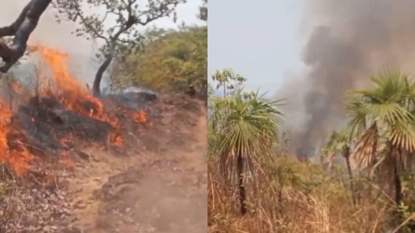 Incendio en costa de Lázaro Cárdenas devora 50 hectáreas de selva