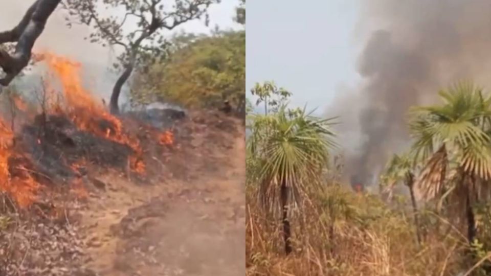 Incendio consume costa de Lázaro Cárdenas