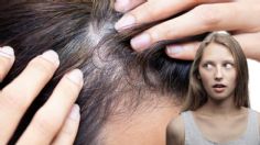 Cuáles son los productos en tendencia mundial para ocultar las canas, según expertos