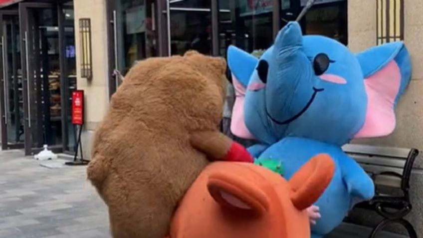 El VIDEO de pelea de botargas que te hará más sencillo el jueves mientras esperas la llegada del fin de semana