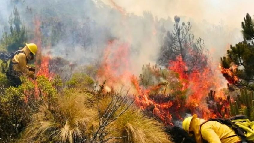 Puebla suma 366 incendios forestales