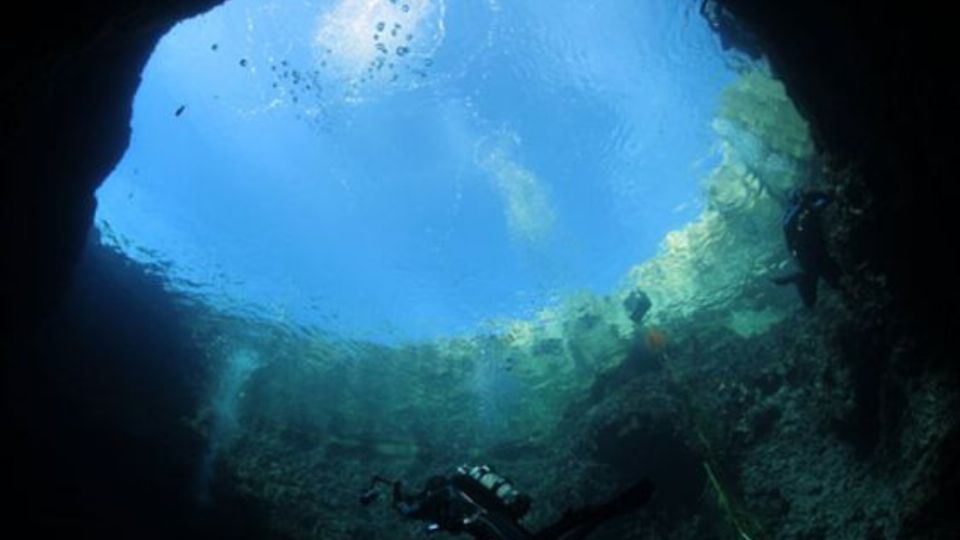 Conoce el descubrimiento en el fondo del mar que paraliza a México y el mundo. Fuente: Pinterest