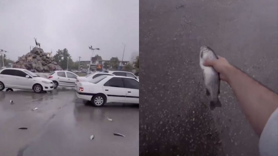 Lluvia de peces en Irán