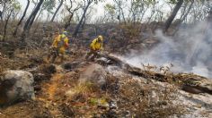 Combaten 154 brigadistas incendio boscoso en Valle de Bravo