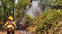 Bajo control tres incendios forestales en Valle de Bravo, informa el Gobierno del Estado de México