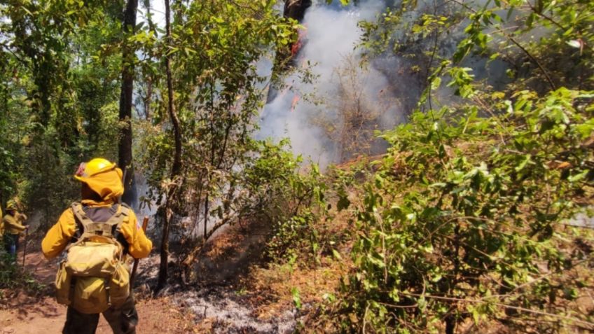 Bajo control tres incendios forestales en Valle de Bravo, informa el Gobierno del Estado de México