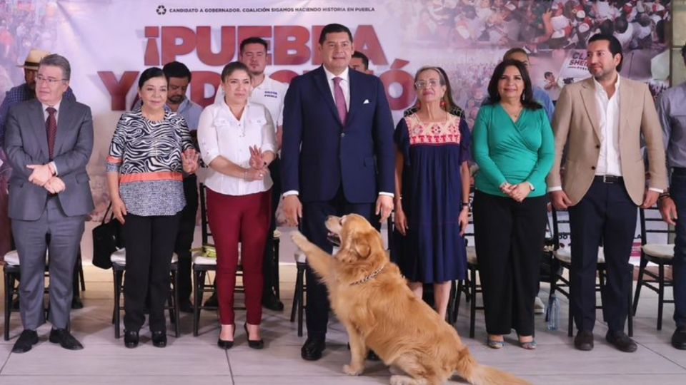 Alejandro Armenta, candidato a gobernador de Puebla, promete regular el comercio animal en la entidad.