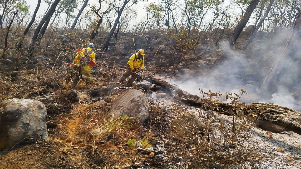 Brigadistas combaten incendio en Valle de Bravo