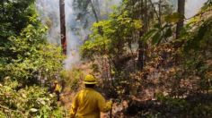 Con Mando Único, gobierno del Estado de México controla en menos de 48 horas incendios forestales en Valle de Bravo